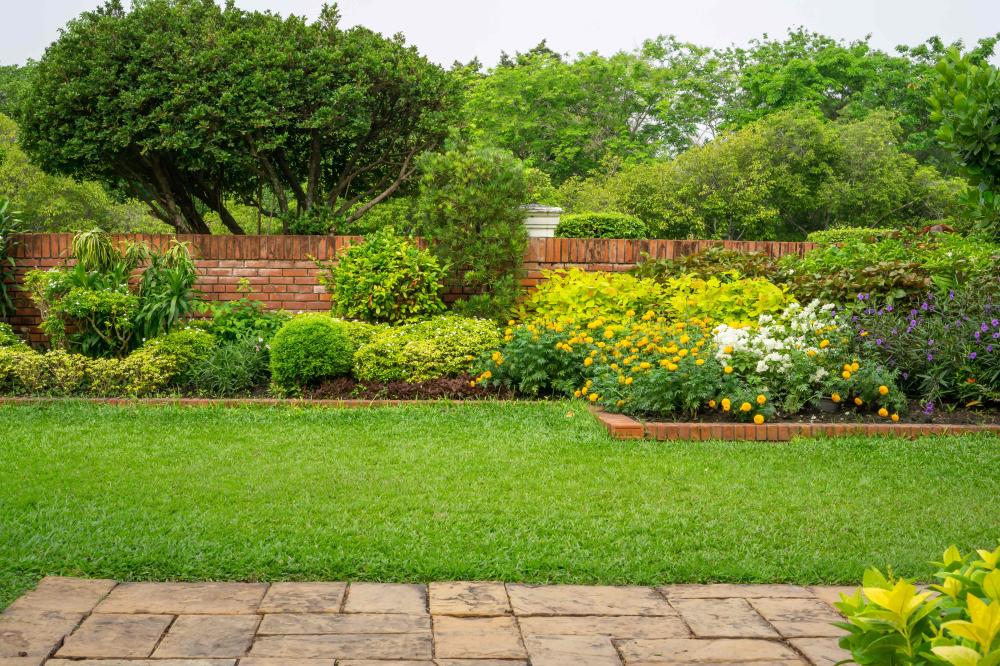 remise en état de jardin près de Brétigny-sur-Orge