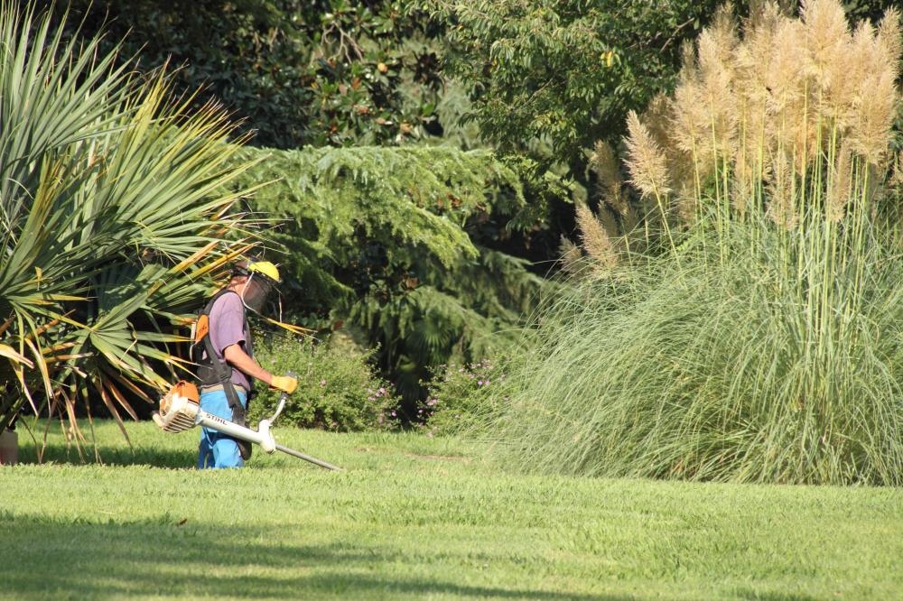 entretien jardin près de Brétigny-sur-Orge