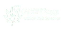 canope elagage